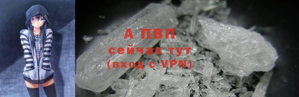 прущие крисы Алексеевка