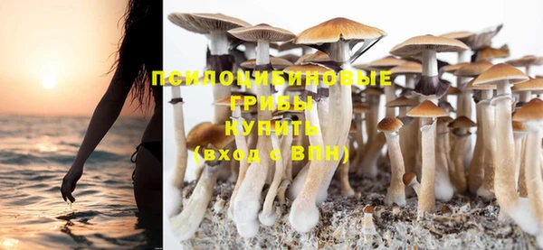 прущая мука Абинск