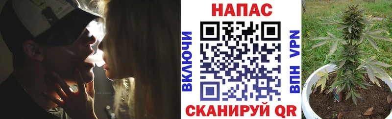 Каннабис VHQ  где купить наркотик  Новопавловск 